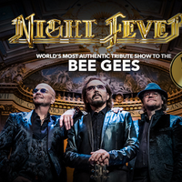 NIGHT FEVER